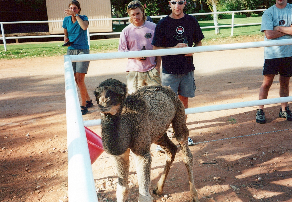 2000 - Australie 203T.jpg